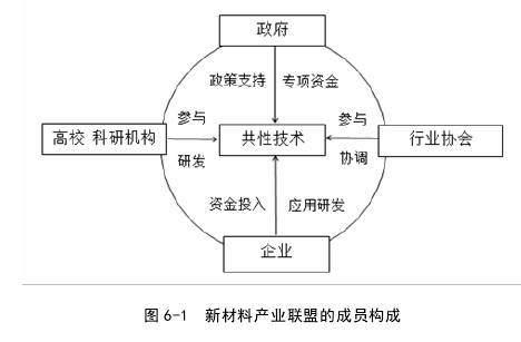 图 6-1  新材料产业联盟的成员构成