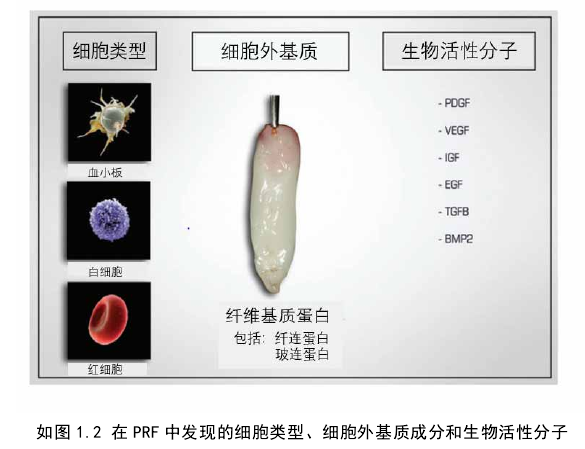 如图 1.2 在 PRF 中发现的细胞类型、细胞外基质成分和生物活性分子