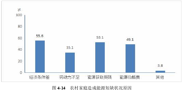 图 4-14 农村家庭造成能源短缺状况原因