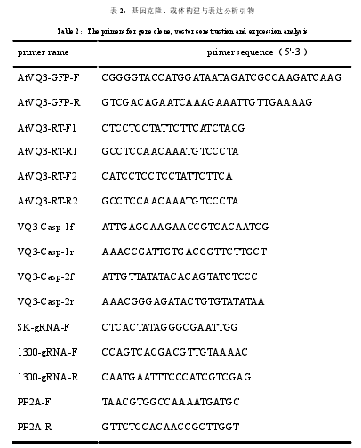表 2：基因克隆、载体构建与表达分析引物
