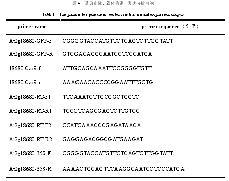 表 4：基因克隆、载体构建与表达分析引物