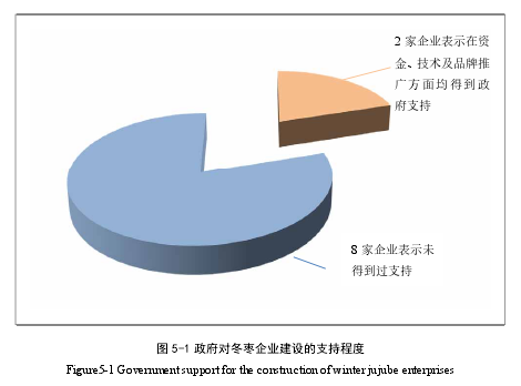 图 5-1 政府对冬枣企业建设的支持程度