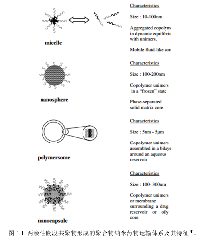 图 1.1  两亲性嵌段共聚物形成的聚合物纳米药物运输体系及其特征