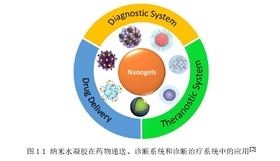 图 1.1  纳米水凝胶在药物递送、诊断系统和诊断治疗系统中的应用