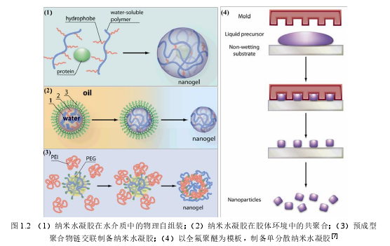 图 1.2  （1）纳米水凝胶在水介质中的物理自组装；（2）纳米水凝胶在胶体环境中的共聚合；（3）预成型聚合物链交联制备纳米水凝胶；（4）以全氟聚醚为模板， 制备单分散纳米水凝胶