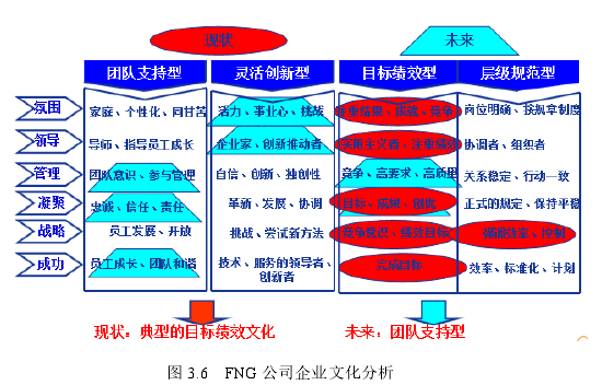 图 3.6   FNG 公司企业文化分析