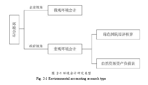 图 2-1 环境会计研究类型