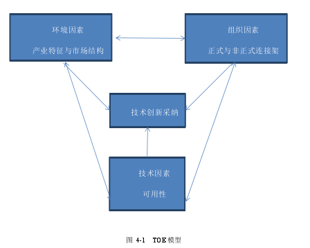 图 4-1 TOE 模型