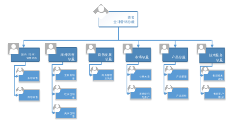 图 6-1：Promelight 公司营销结构布局优化设计（一）