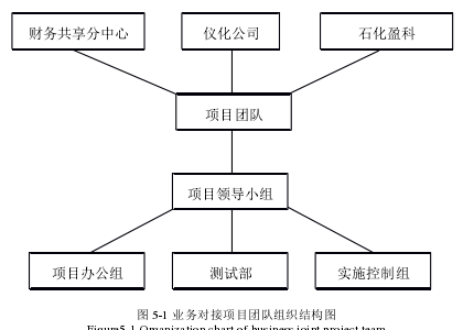 图 5-1 业务对接项目团队组织结构图