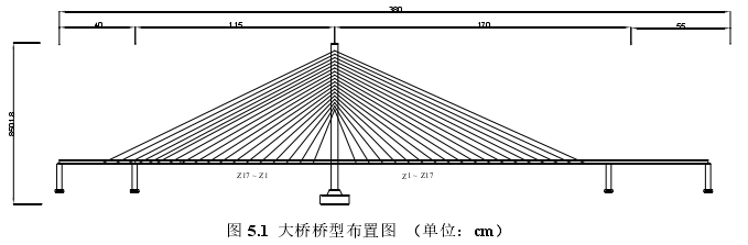 图 5.1  大桥桥型布置图  （单位：cm）