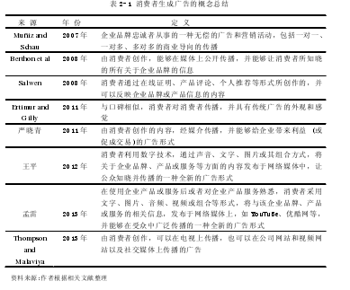 表 2-1 消费者生成广告的概念总结