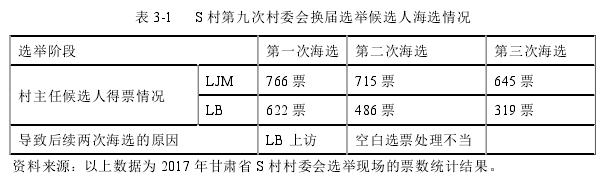 表 3-1    S 村第九次村委会换届选举候选人海选情况