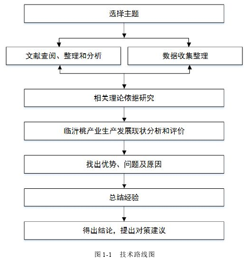 图 1-1 技术路线图