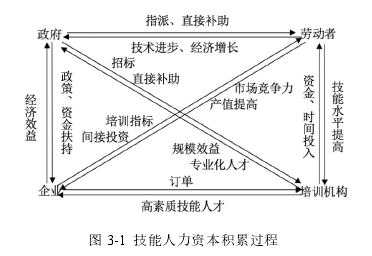 图 3-1  技能人力资本积累过程