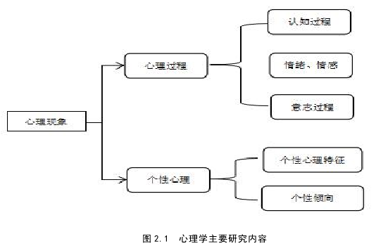 图 2.1 心理学主要研究内容