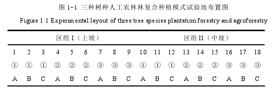 图 1-1 三种树种人工农林林复合种植模式试验地布置图