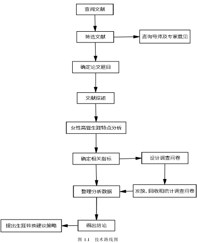 图 1.1   技术路线图