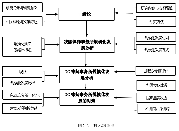 图 1-1：技术路线图