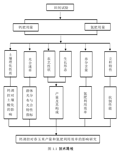 图 1.1  技术路线