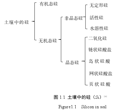 图 1.1  土壤中的硅（Si）