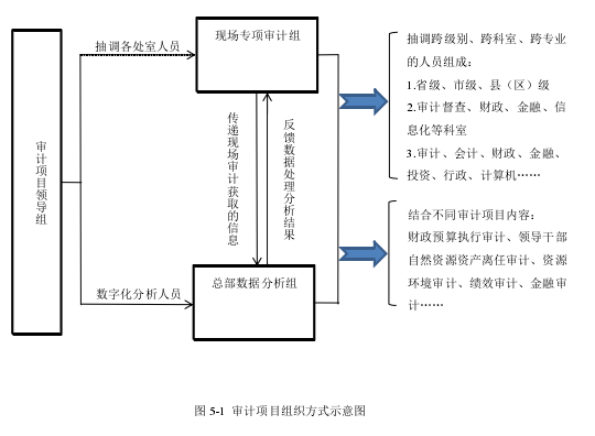 图 5-1  审计项目组织方式示意图