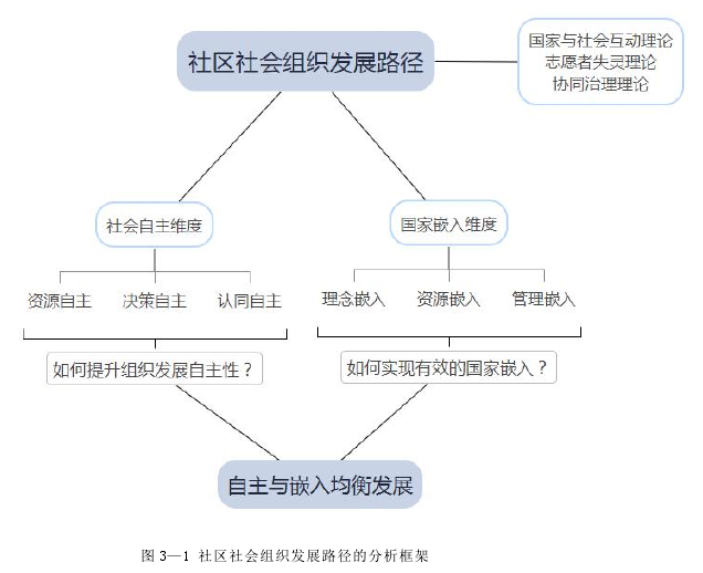 图 3—1 社区社会组织发展路径的分析框架