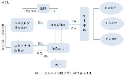 图 5.1 农业巨灾风险分散机制的运行机理