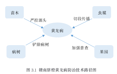 图 3.1 赣南脐橙黄龙病防治技术路径图