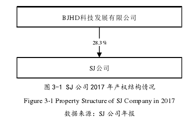 图 3-1 SJ 公司 2017 年产权结构情况