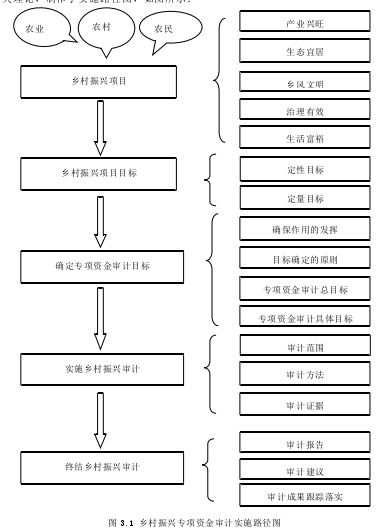 图 3.1 乡村振兴专项资金审计实施路径图