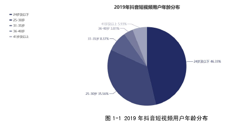 图 1-1 2019 年抖音短视频用户年龄分布