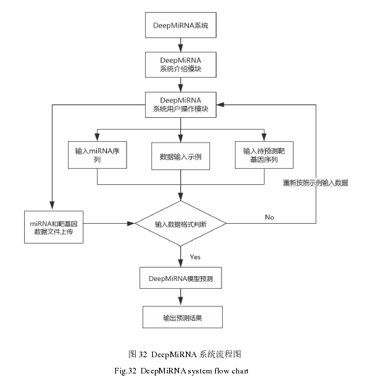 图 32  DeepMiRNA 系统流程图