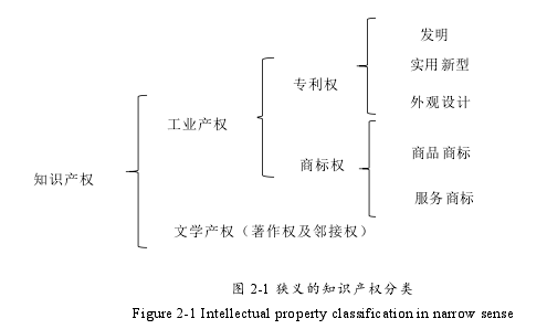 图 2-1 狭义的知识产权分类
