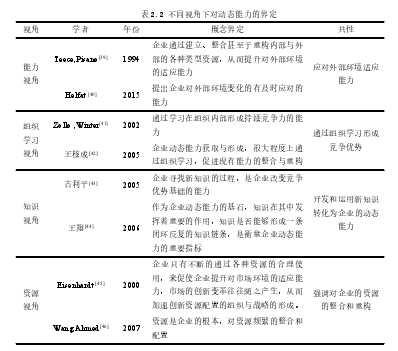 表 2.2 不同视角下对动态能力的界定