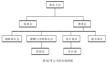 图 3.1 T 公司组织架构图