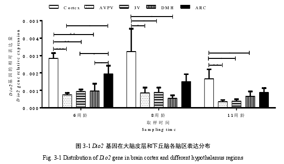 图 3-1 Dio2 基因在大脑皮层和下丘脑各脑区表达分布