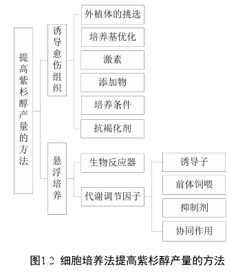 图1.2 细胞培养法提高紫杉醇产量的方法