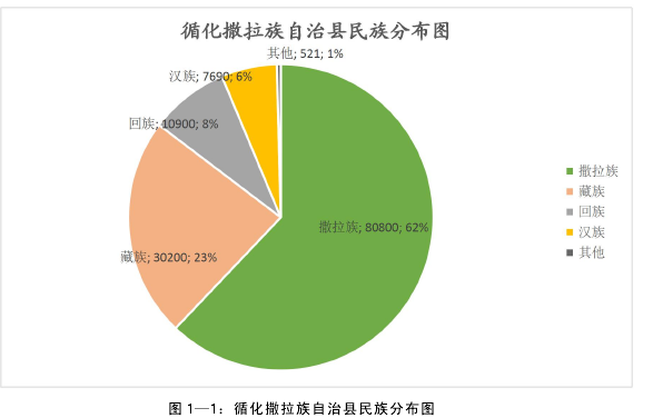 图 1—1：循化撒拉族自治县民族分布图