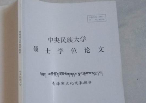 中央民族大学硕士学位论文范文