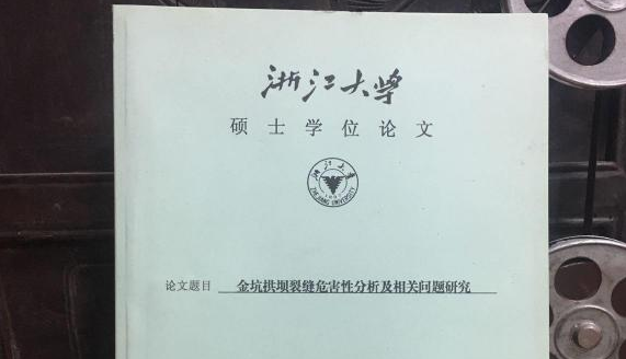 浙江大学硕士学位论文范文