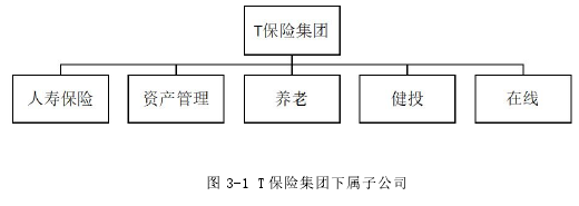 图 3-1 T 保险集团下属子公司