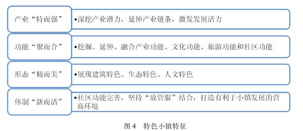 图 4 特色小镇特征