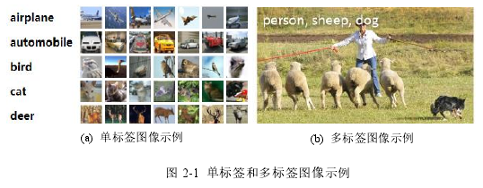 图 2-1 单标签和多标签图像示例