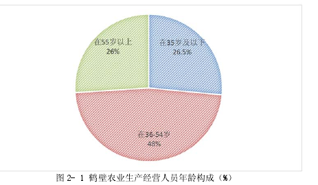 图 2- 1 鹤壁农业生产经营人员年龄构成（%）