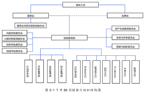 图 3-1 T 市 DS 村镇银行组织结构图