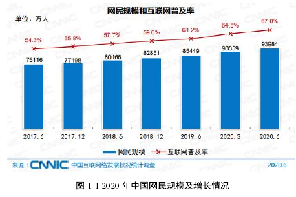 图 1-1 2020 年中国网民规模及增长情况