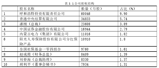 表 3.1 公司股权结构