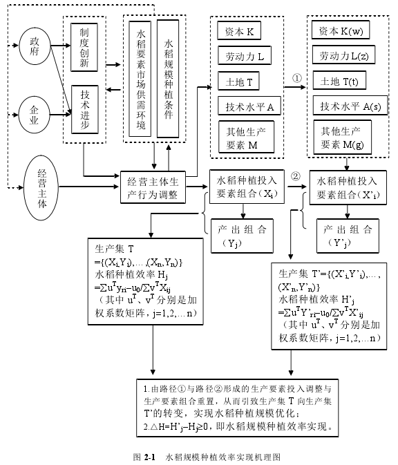 图 2-1 水稻规模种植效率实现机农图