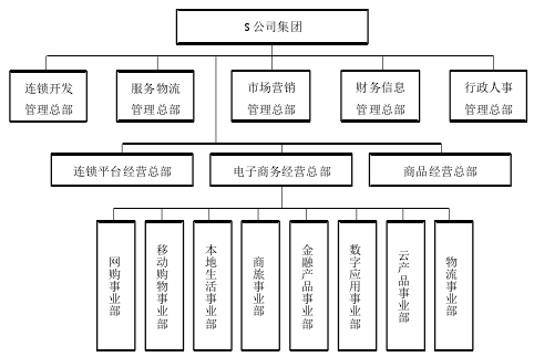 图 3.1 S 公司组织结构图